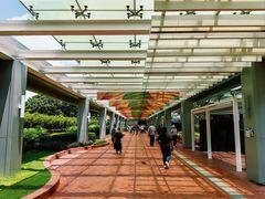 -香港大学