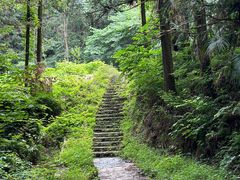 -素山寺森林公园