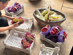 -马陆小张葡萄园农家乐