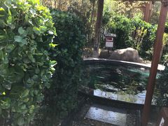 -夏津德百度假村温泉