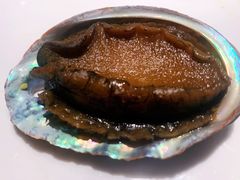 冷鲍鱼-Mr·Fish鱼鲜生海鲜放题(银泰in99店)