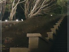 -郑和公园