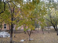-哈尔滨师范大学(江南校区)