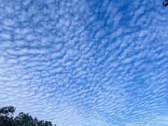 -WATER CAFE(广厦店)