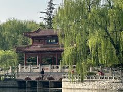 -百脉泉景区