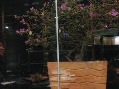 -188西餐厅(园林宾馆店)