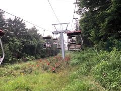 -青岛中山公园-索道售票处