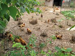 -生态苑农庄(十里画廊遇龙河店)