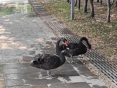 -河北省园博园
