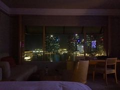 -新加坡丽思卡尔顿美年酒店