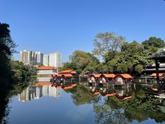 -侨美·唐荔园·40年地道粤菜