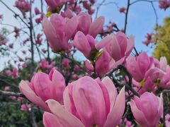 -玄武湖景区-情侣园游乐场