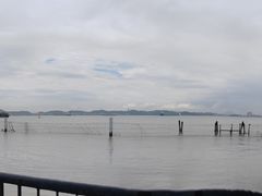 -南沙蒲洲花园