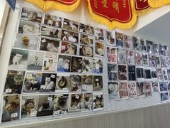 -佑安动物医院·全科·内窥镜中心(幸福巷店)