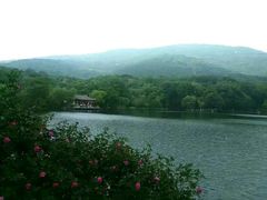 -紫霞湖公园