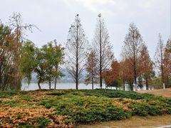-太平老街