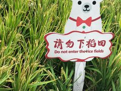 -证大喜玛拉雅中心