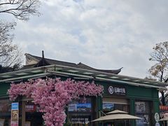 -云南民族大观园