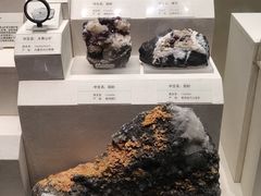 -天津自然博物馆