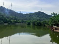 -梧桐庄园