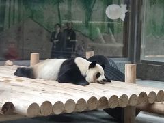 -西安秦岭野生动物园