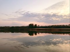 -东郊湿地公园
