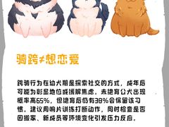 -瑞派·关忠动物医院(国瑞店)