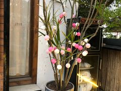 -云里小坐·小院里·团建·宴请·下午茶(三圣乡店)