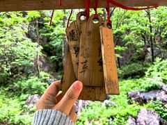 -大连天门山国家森林公园