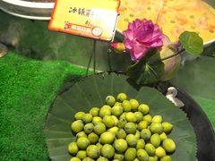 -谢氏老金口(江夏武昌大道店)