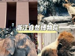 -老李家土菜馆·安吉地标美食