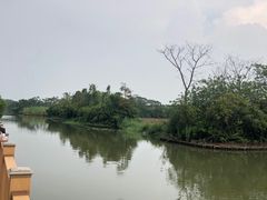 -大湾区中央湿地公园