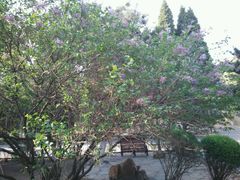 android_upload_pic-辽宁大学(崇山校区)