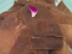 -蜀留香火锅(社会山店)