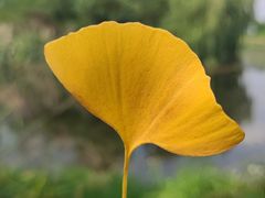 -白鹭湾湿地公园