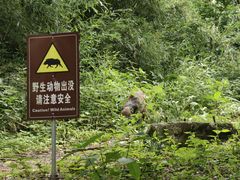 -敬亭山风景名胜区