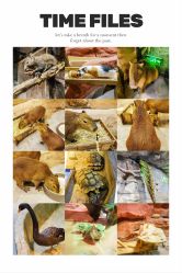 -Zoolung Zoolung动物主题公园(海信广场店)