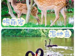 -佛冈森波拉度假区
