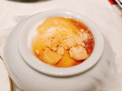 -阿五黄河大鲤鱼(海尚店)