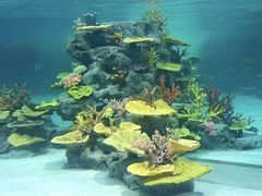 -福州罗源湾海洋世界旅游区