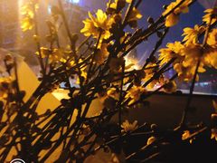 -COMMUNE幻师(花园道店)