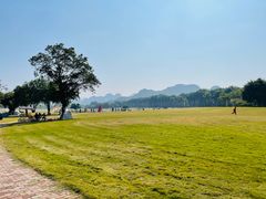 -南宁花花大世界景区