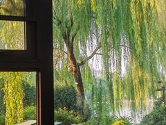 -鹊华居·地道鲁菜·海鲜·融合味(大明湖店)