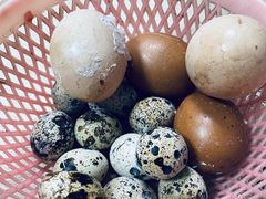 -瘦鬼老档糖水铺