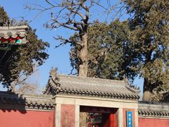 -承恩寺