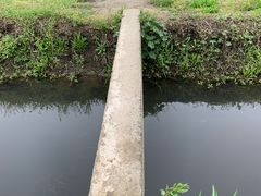 -广富林郊野公园
