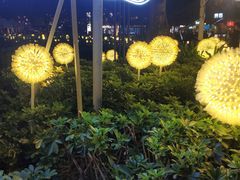 -36抹茶·千层与鲜果茶(欢乐海岸店)