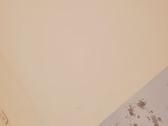 -付小姐在成都(五道口店)