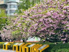 -新虹桥中心花园