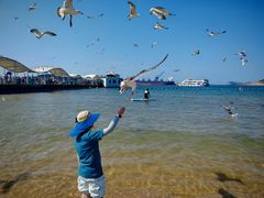 -海驴岛(荣成市)